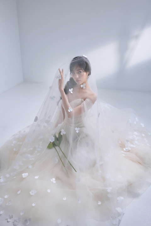 d9773176db018c8b164faabfe18b87dd38a74ed7.jpg